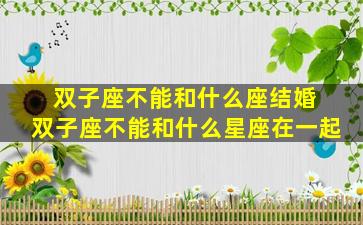 双子座不能和什么座结婚 双子座不能和什么星座在一起